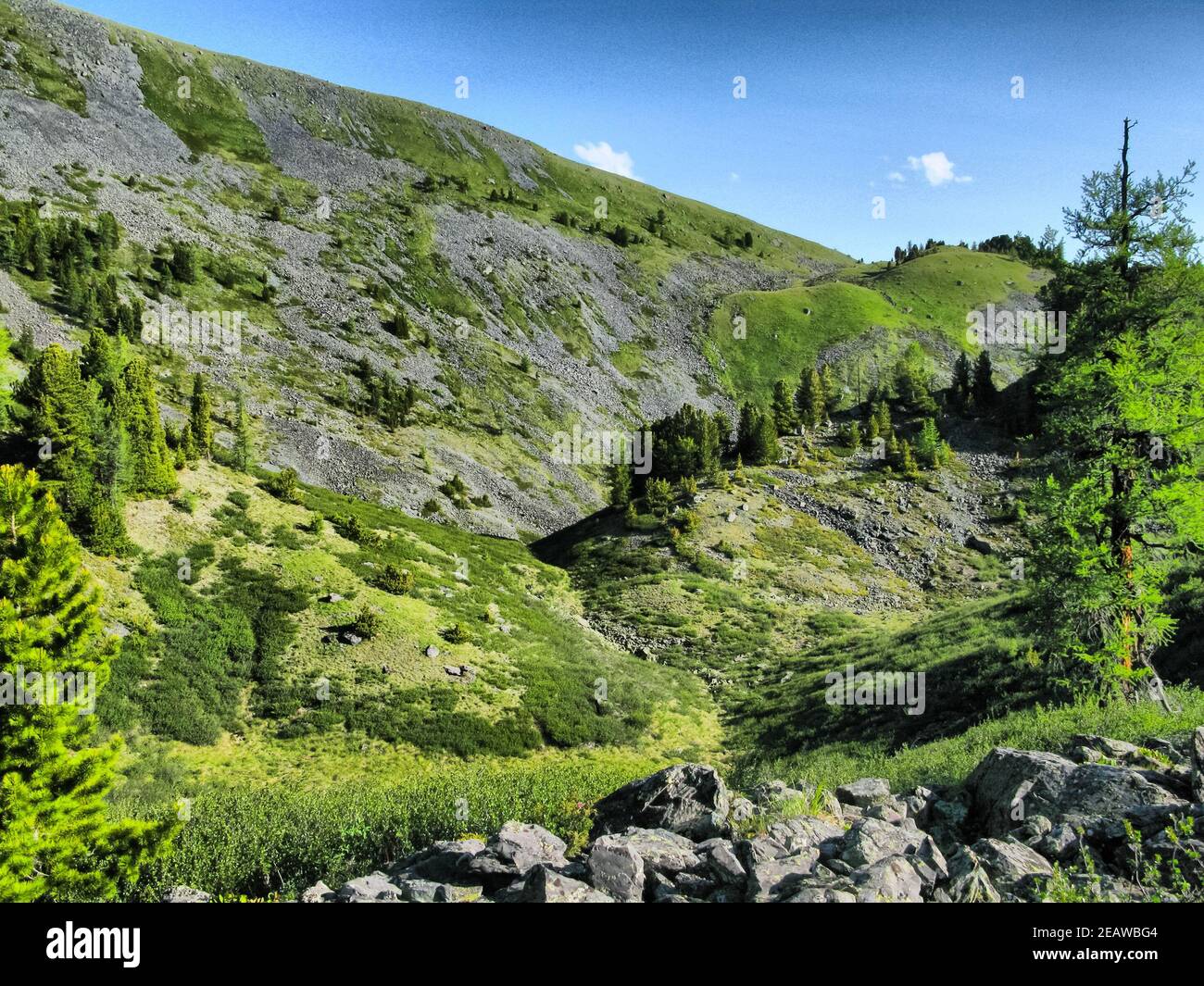Die Natur ist altai. Berglandschaft, Wälder und Stauseen von altai. Stockfoto