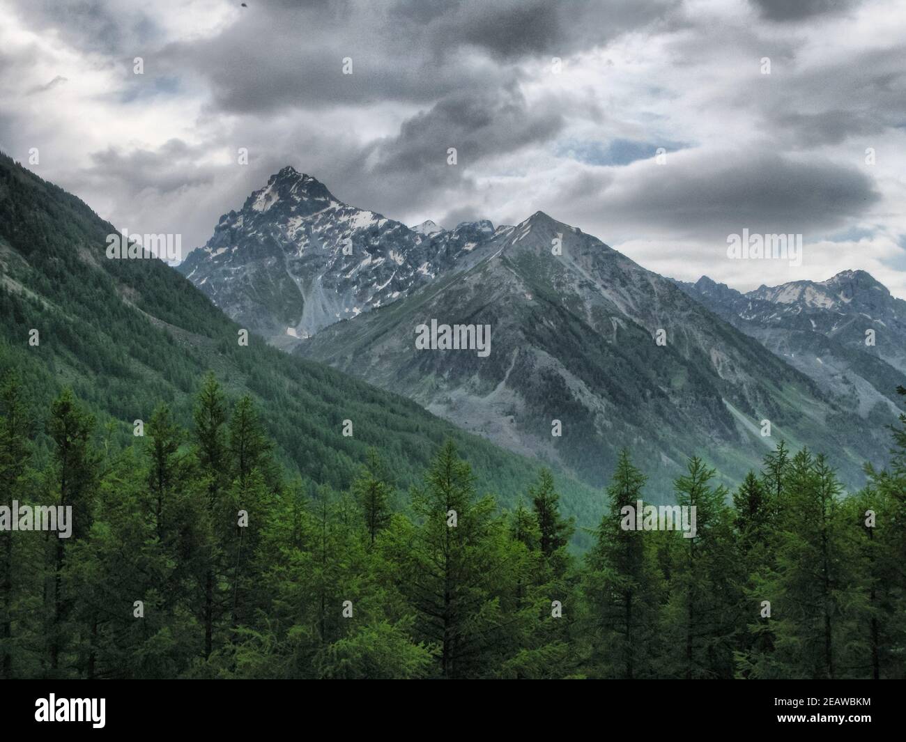 Die Natur ist altai. Berglandschaft, Wälder und Stauseen von altai. Stockfoto