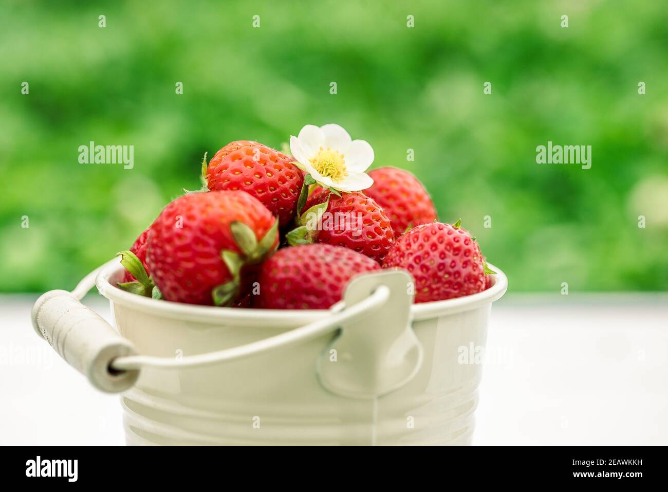 Nahaufnahme Erdbeeren im Eimer, Sommer im Dorf, Ernte Stockfoto