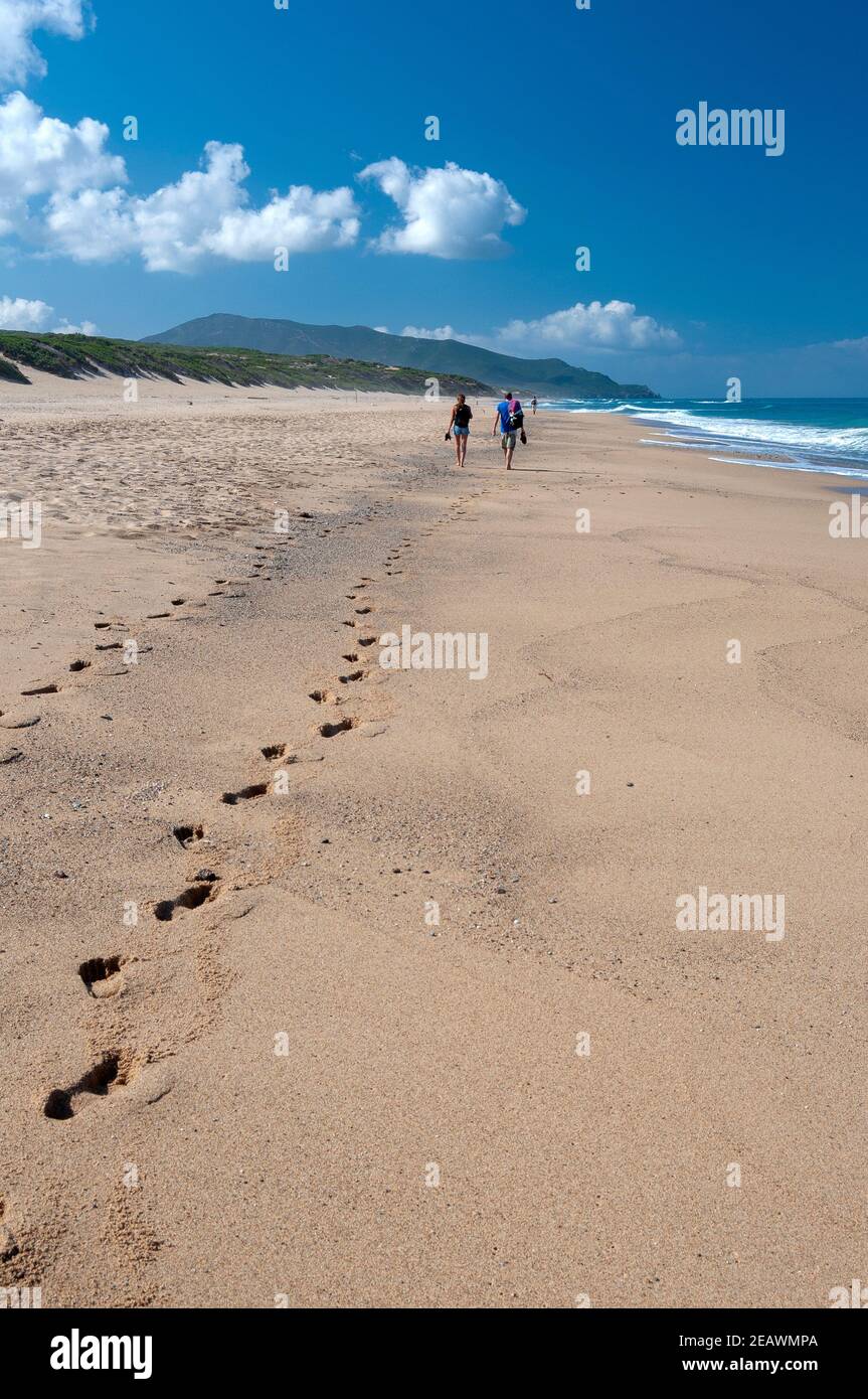 Große goldene Sanddünen und kristallklares Wasser bei Piscinas Strand Stockfoto