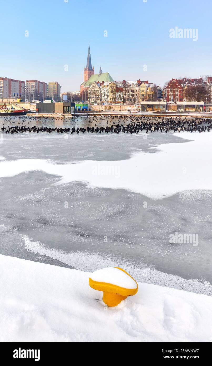 Stettin Waterfront mit gefrorenem Fluss oder im Winter, Polen. Stockfoto