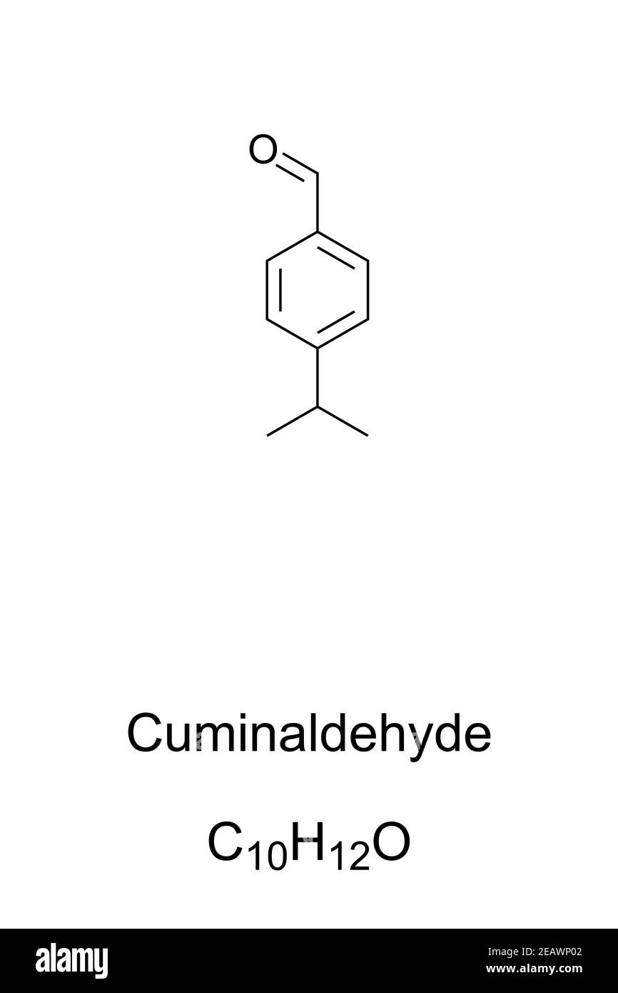 Cuminaldehyd, chemische Formel und Skelettstruktur. Kuminal, natürliche organische Verbindung und Bestandteil von ätherischen Ölen wie Kreuzkümmel. Stockfoto
