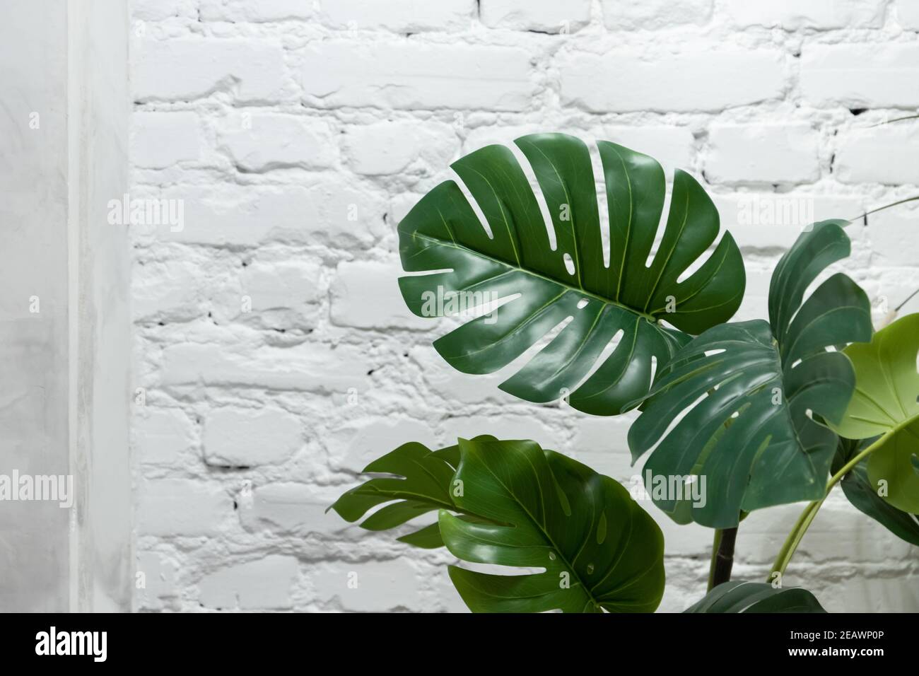 Grüne Büroanlage Blätter über weißen Backstein Wand Hintergrund. Moderne Inneneinrichtung Stockfoto