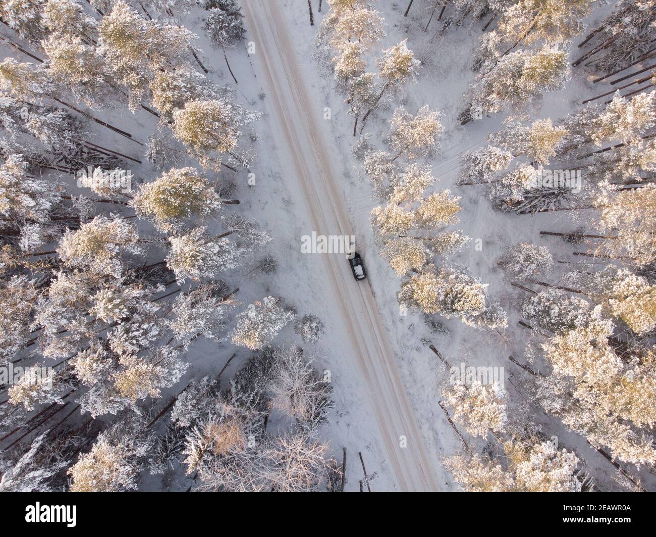 Winterwald mit frostigen Bäumen, Luftbild. Stockfoto