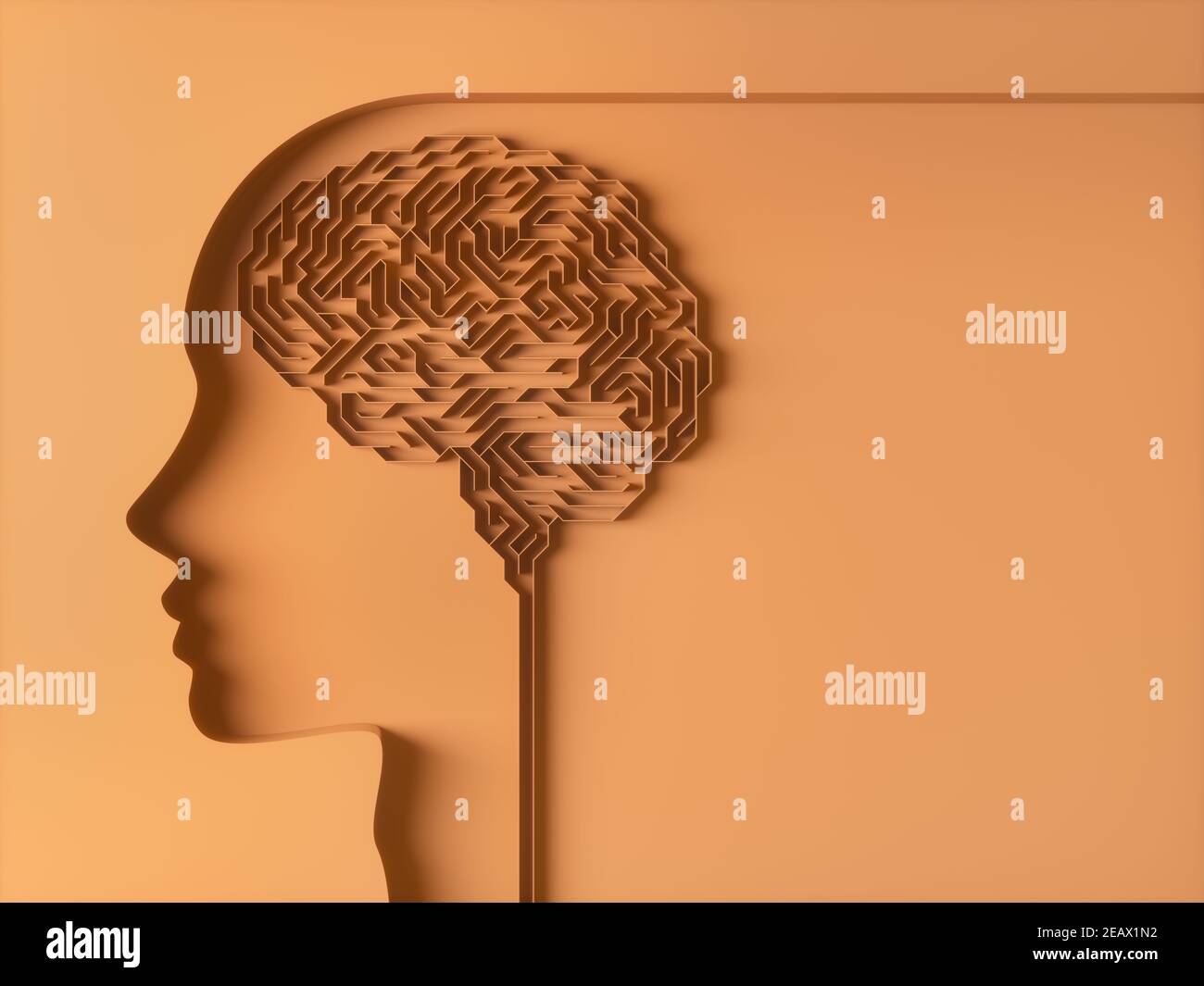 Gehirn geformtes Labyrinth. Konzeptbild von Studie und Gehirnverhalten. Stockfoto