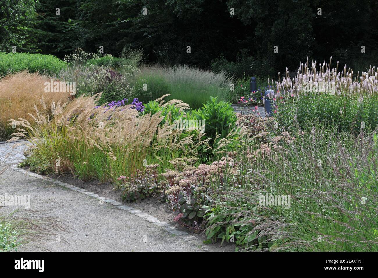 HAMM, DEUTSCHLAND - 15. AUGUST 2015: Bepflanzung im mehrjährigen Wiesenstil von Piet Oudolf im Garten Art Garten im öffentlichen Park Maximilianpark Stockfoto