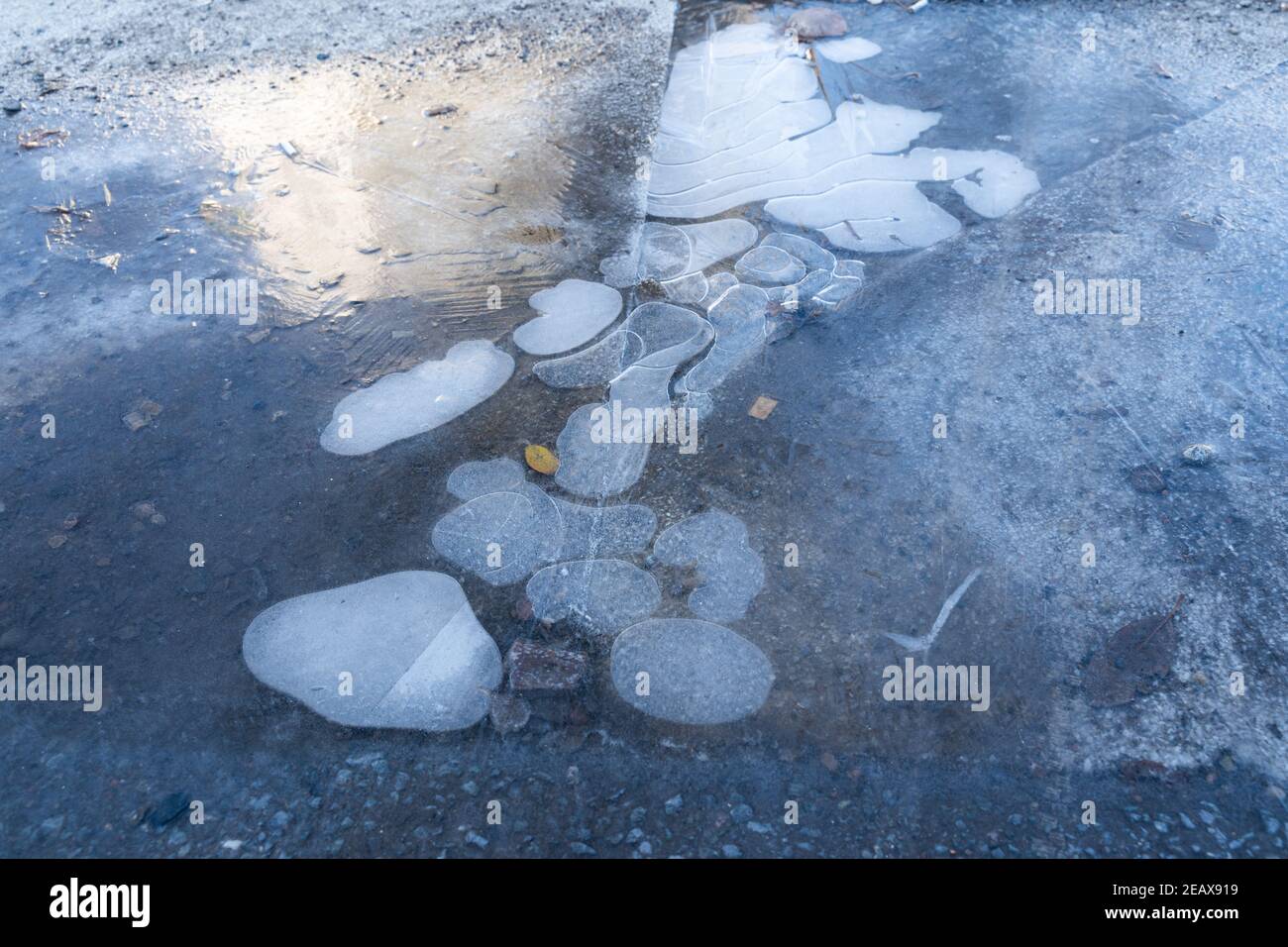 Gefrorene Pfütze auf dem Boden mit weißen Luftblasen im Wasser. Rutschiger Frost auf dem Bürgersteig in der Stadt. Stockfoto