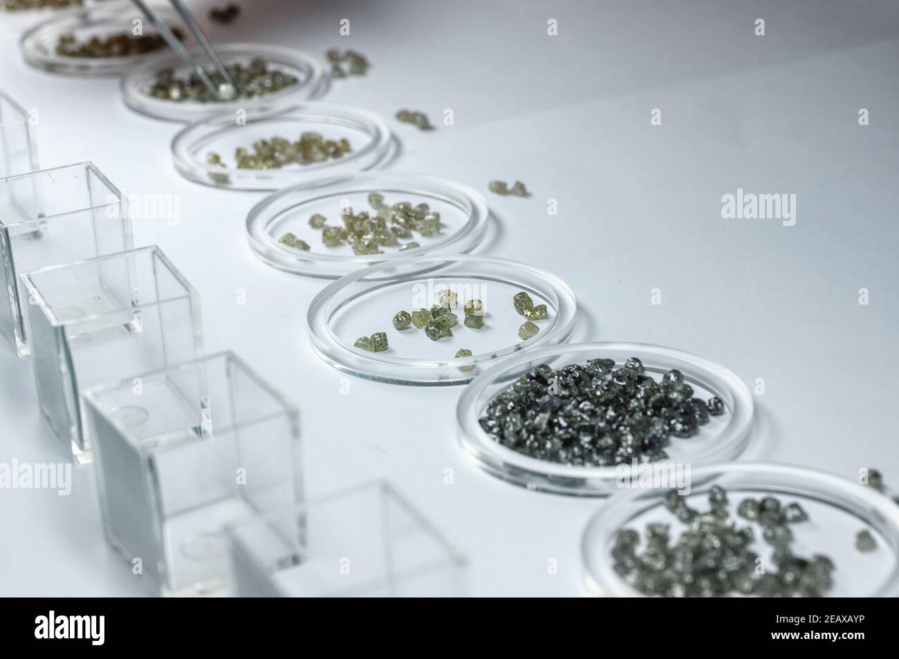Die sortierten Diamanten sind in Glaskupfen. Das Ergebnis der manuellen Sortierung von Diamanten nach Gewicht und Qualität Stockfoto