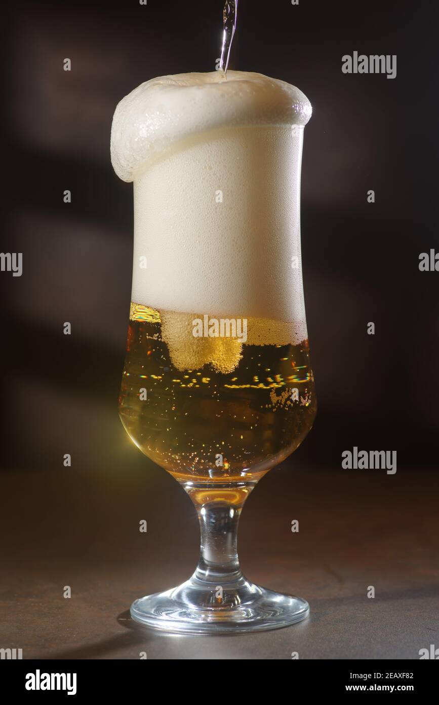 Bier.Bier-Pint Nahaufnahme isoliert auf abstraktem Hintergrund. Cold Craft Light Bier im Glas Stockfoto