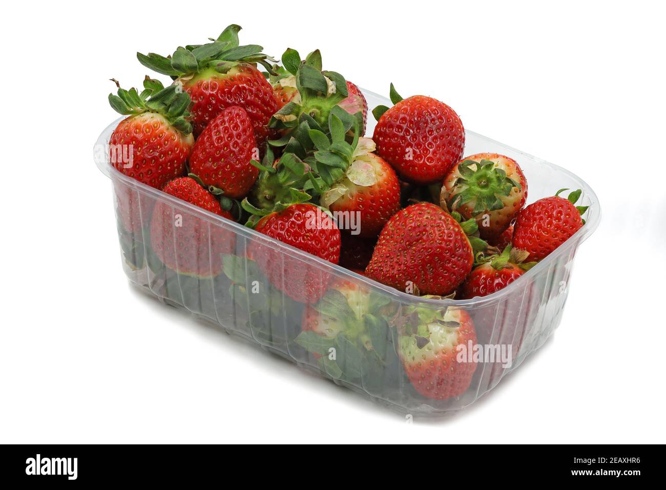 Kunststoffbehälter mit natürlich aussehenden reifen Erdbeeren isoliert auf weiß Hintergrund Stockfoto