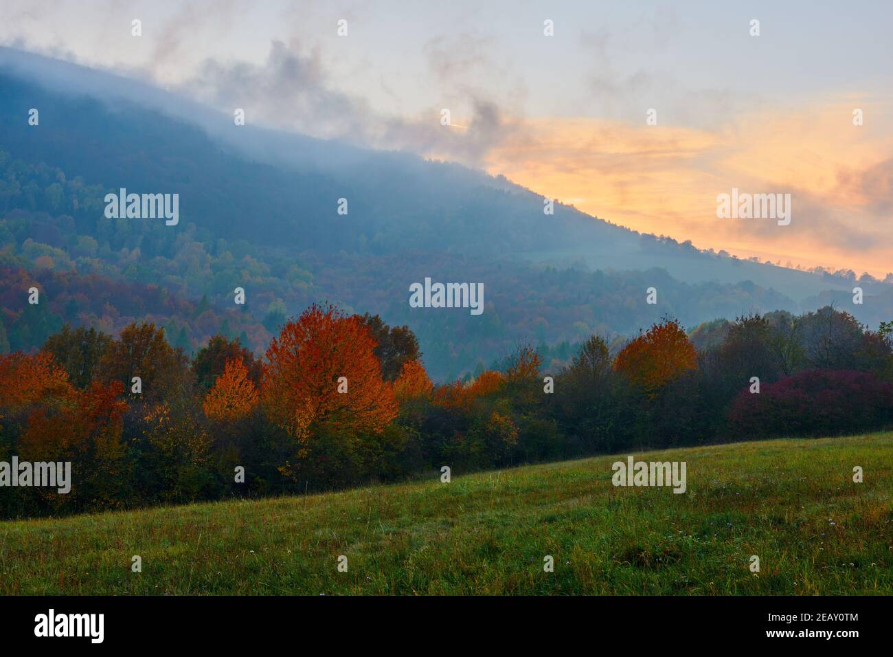 Neblige Herbstlandschaft bei Sonnenuntergang. Mit bunten Blättern von Bäumen. Mischwald. Naturschutzgebiet, Naturschutzgebiet Horná Súča, Slowakei. Stockfoto