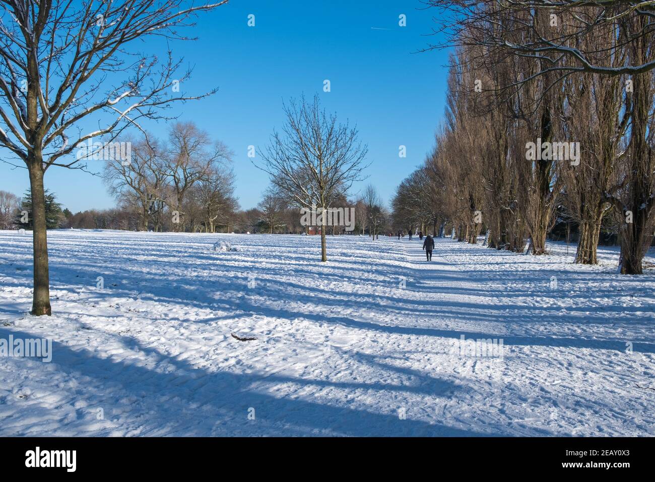 Schneedecke Summerfield Park in Edgbaston, Birmingham, Großbritannien Stockfoto