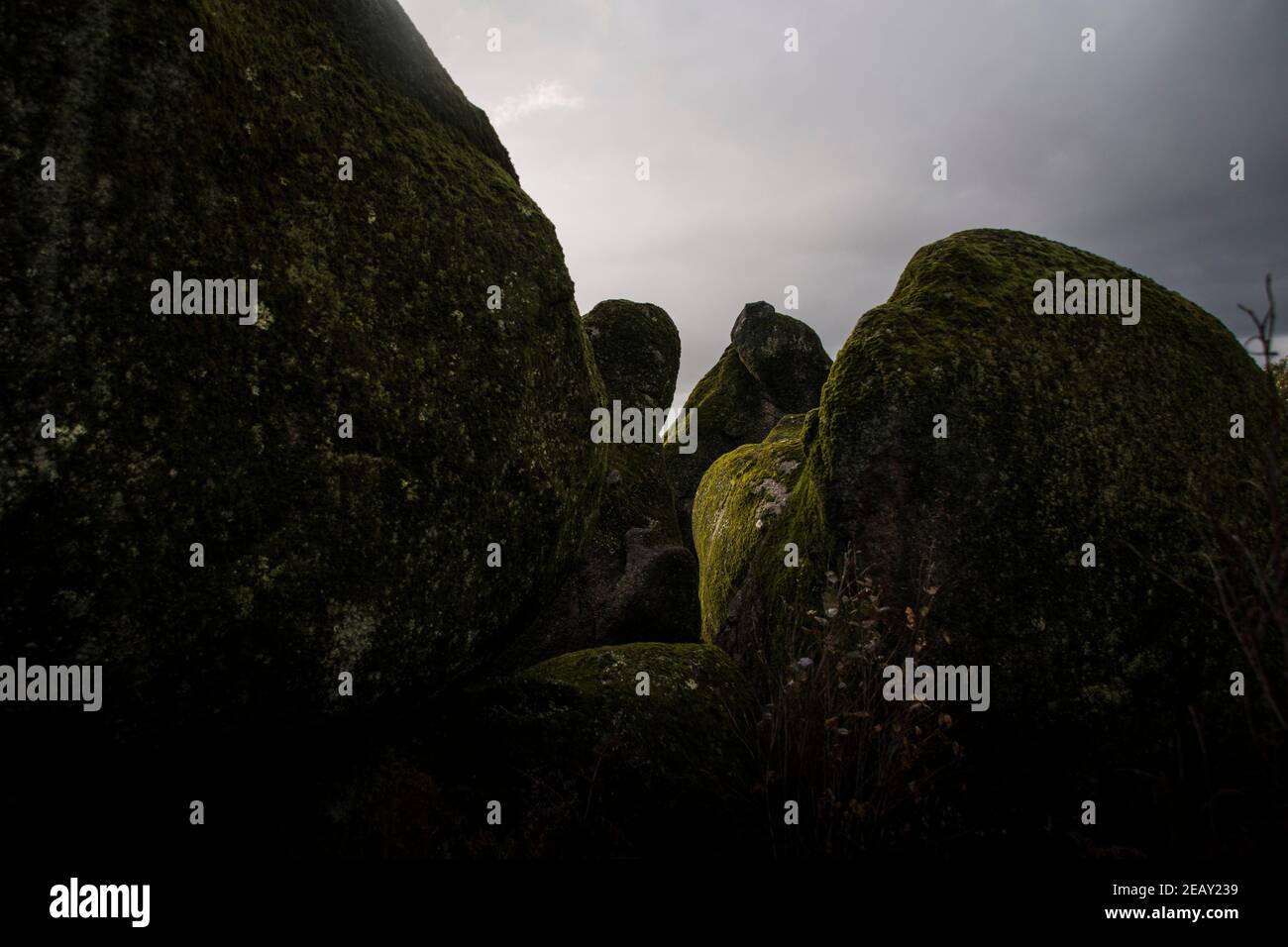 Platz mit vielen großen Steinen mit Moos bedeckt In einer stürmischen Umgebung und grauen Tag Stockfoto