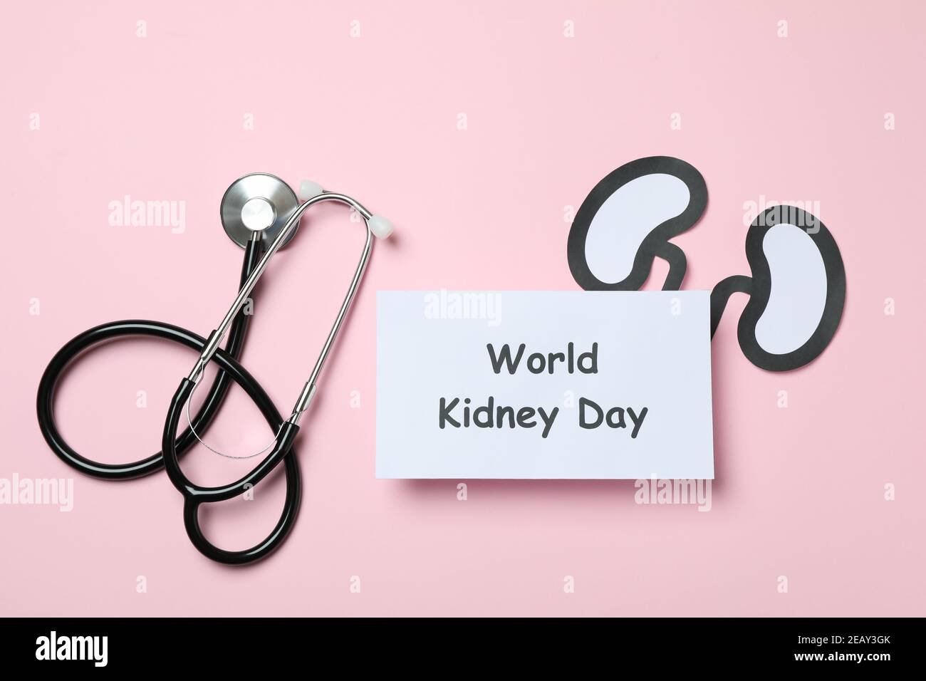 Text Weltnierentag, Papierniere und Stethoskop auf rosa Hintergrund Stockfoto