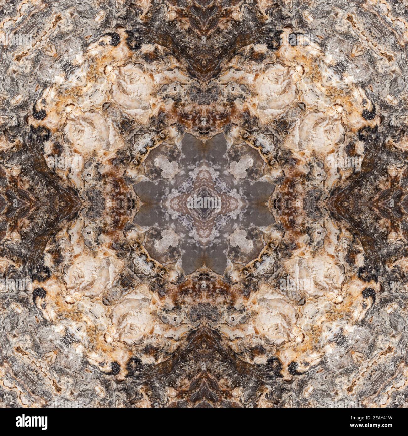 Kaleidoskop einer fossilen Auster Stockfoto