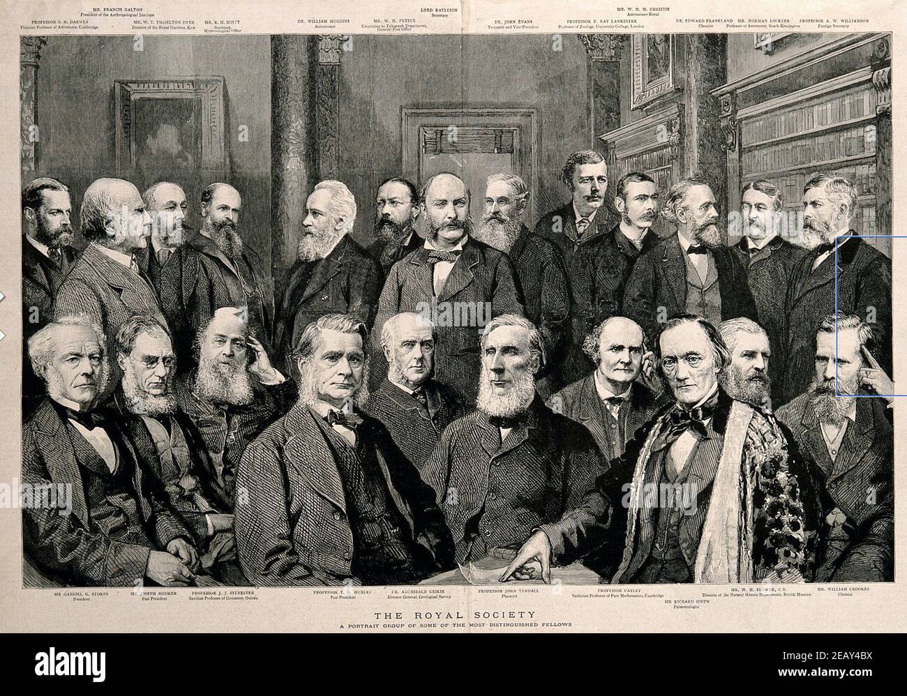 MITGLIEDER der ROYAL SOCIETY 1885, darunter sitzende Front Thomas Huxley, JohnTyndall, Richard Owen Stockfoto