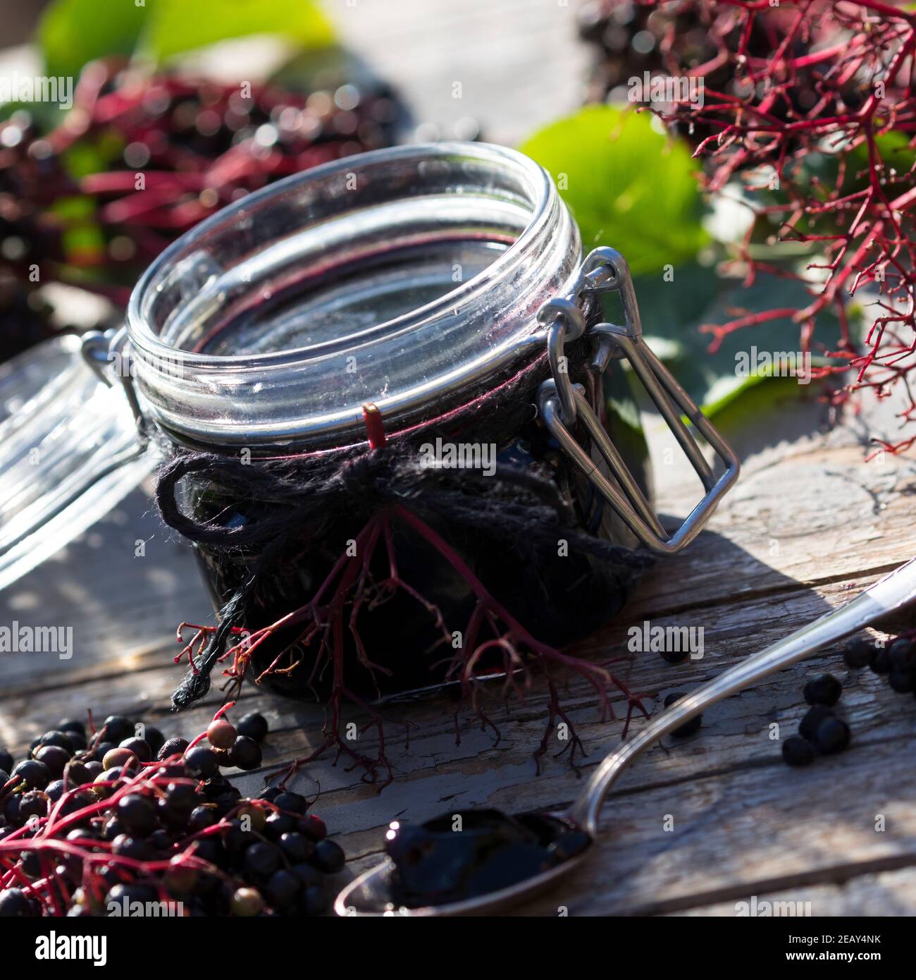 Holunder-Gelee, Holundergelee, Holler-Gelee, Hollergelee, Hollerbeeren-Gelee, Fliederbeer-Gelee, Fliederbeergelee, Fliederbeer-Marmelade, Fliederbeerm Stockfoto