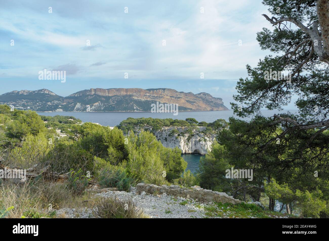Die Küstenklippen rund um Marseille Frankreich. Das felsige Ufer der französischen Riviera bedeckt mit uralten Kiefern und anderer gemäßigter Vegetation. Stockfoto