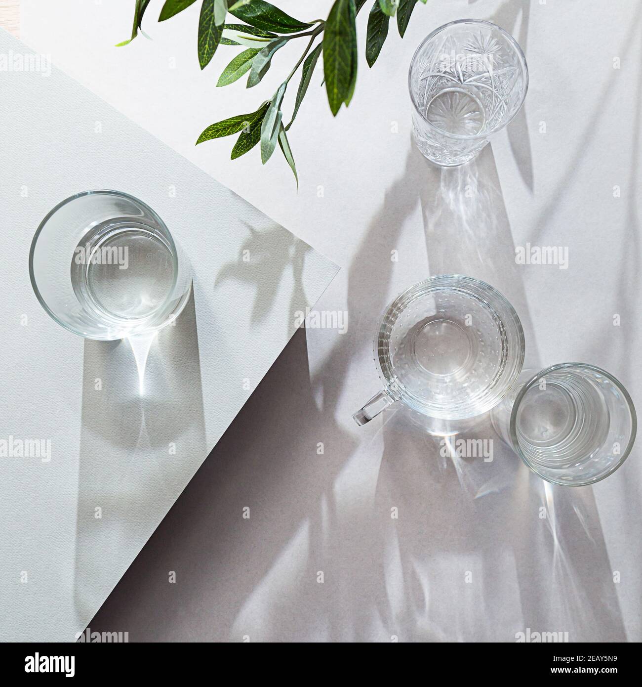 Gläser Wasser Draufsicht Sommer Komposition auf hellem Hintergrund. Stillleben mit Olivenzweig und langen Schatten, mit Kopierraum Stockfoto