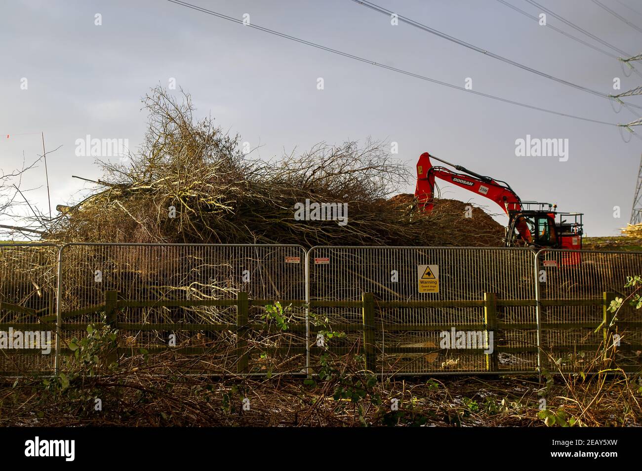 Wendover, Buckinghamshire, Großbritannien. 10th. Februar 2021. HS2 Ltd haben noch eine weitere Anlage in Wendover eingerichtet und haben noch mehr Baumfällung begonnen. Bäume wurden von HS2 spät in der Nacht viel zum Schock und Ärgernis der Anwohner gefällt. Ein Team von Anti-HS2- und Klimaaktivisten lebt in Wäldern, die bis HS2 für die umstrittene und Hochgeschwindigkeitsbahn von London nach Birmingham zur Zerstörung bestimmt sind. In Euston sind inzwischen weitere HS2 Aktivisten in Tunneln vergraben. Quelle: Maureen McLean/Alamy Stockfoto