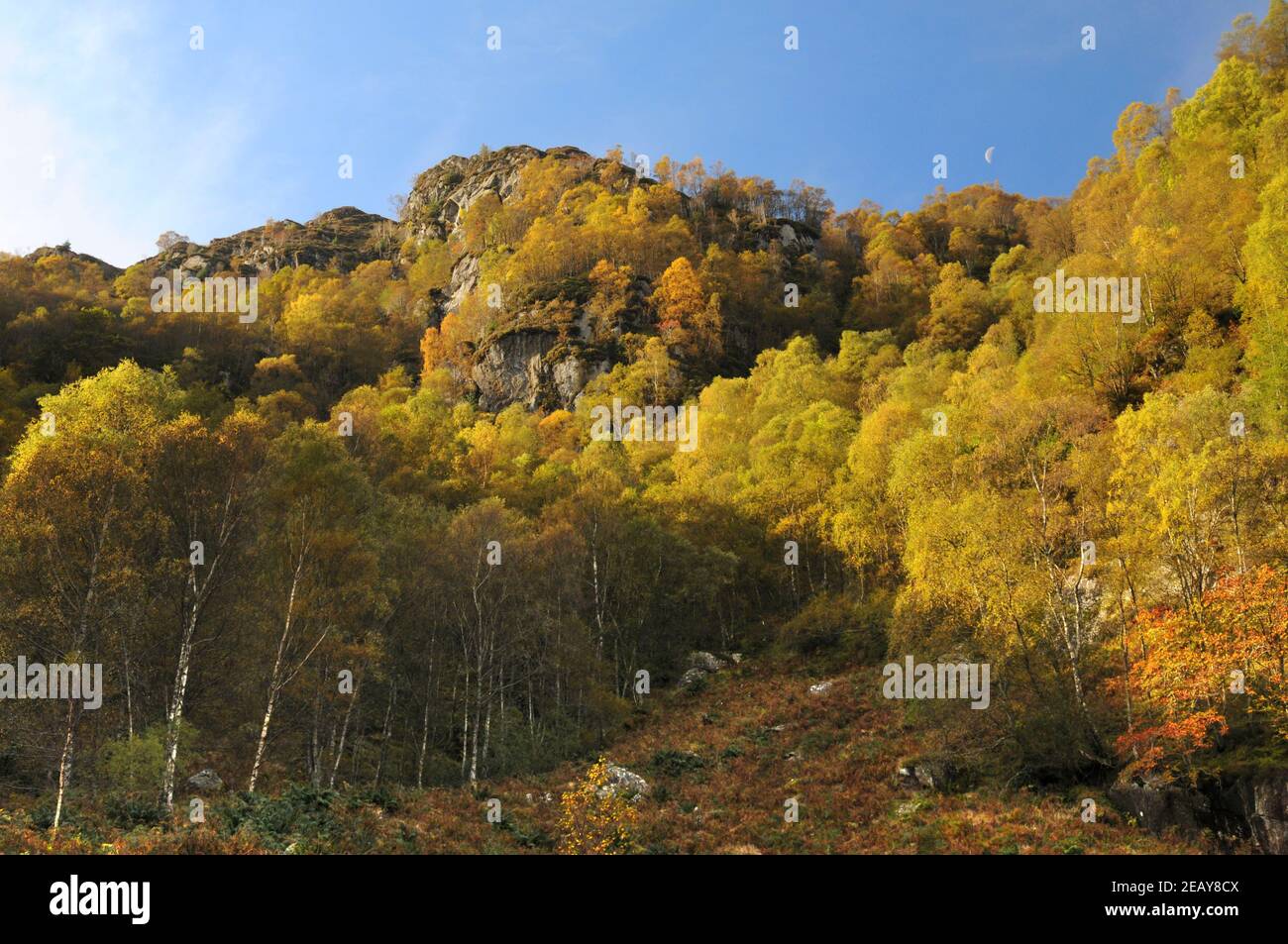 Spektakuläre Herbstfarben in den Trossachs, Schottland. Stockfoto