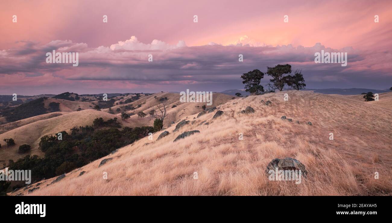 Sonnenuntergang Auf Australischem Land Stockfoto