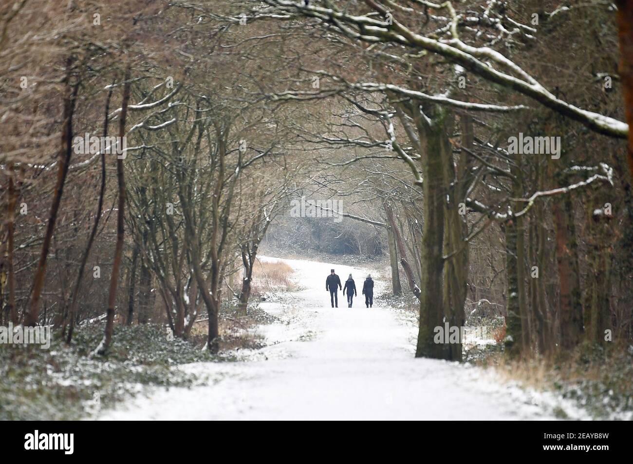 Die Menschen machen einen Spaziergang in Epping Forest, wie die Kälte Snap weiterhin einen Großteil der Nation zu greifen. Bilddatum: Donnerstag, 11. Februar 2021. Stockfoto