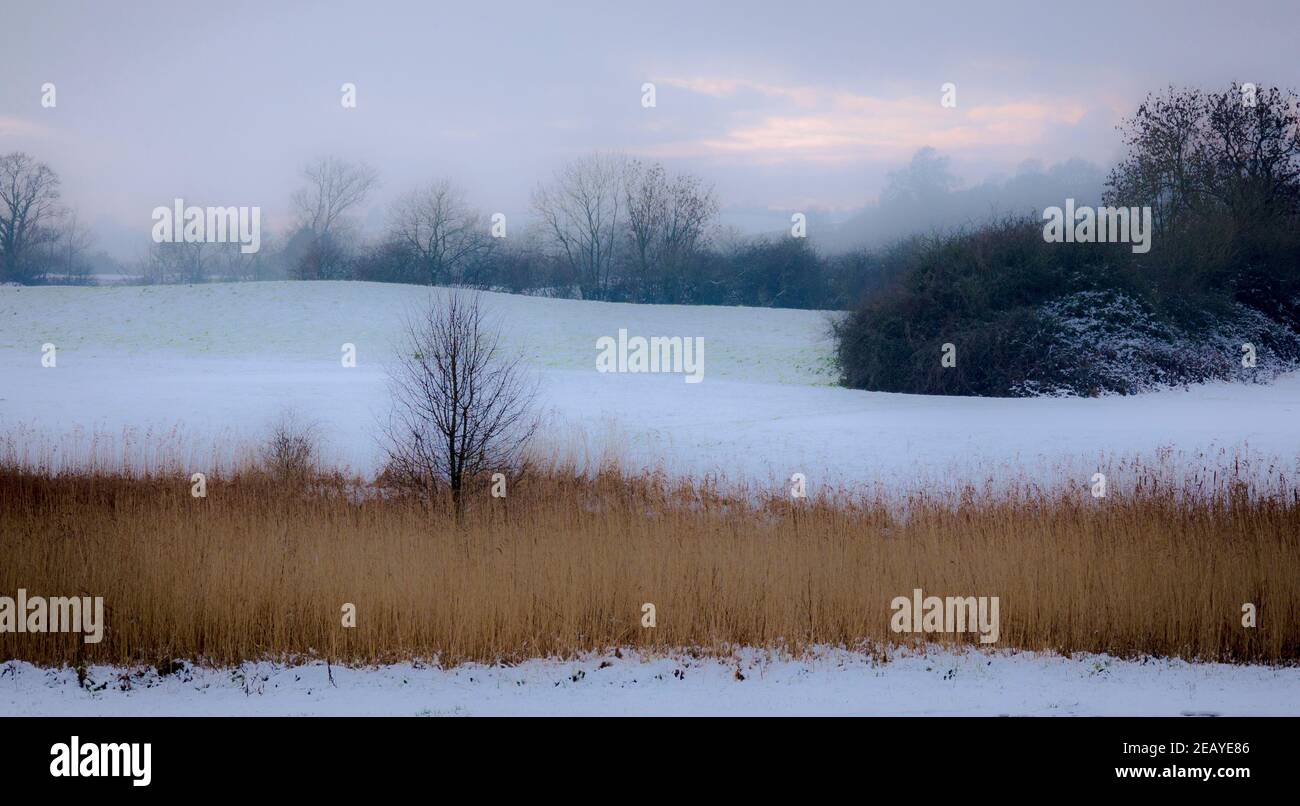 Schnee bei Celtic Manor Stockfoto