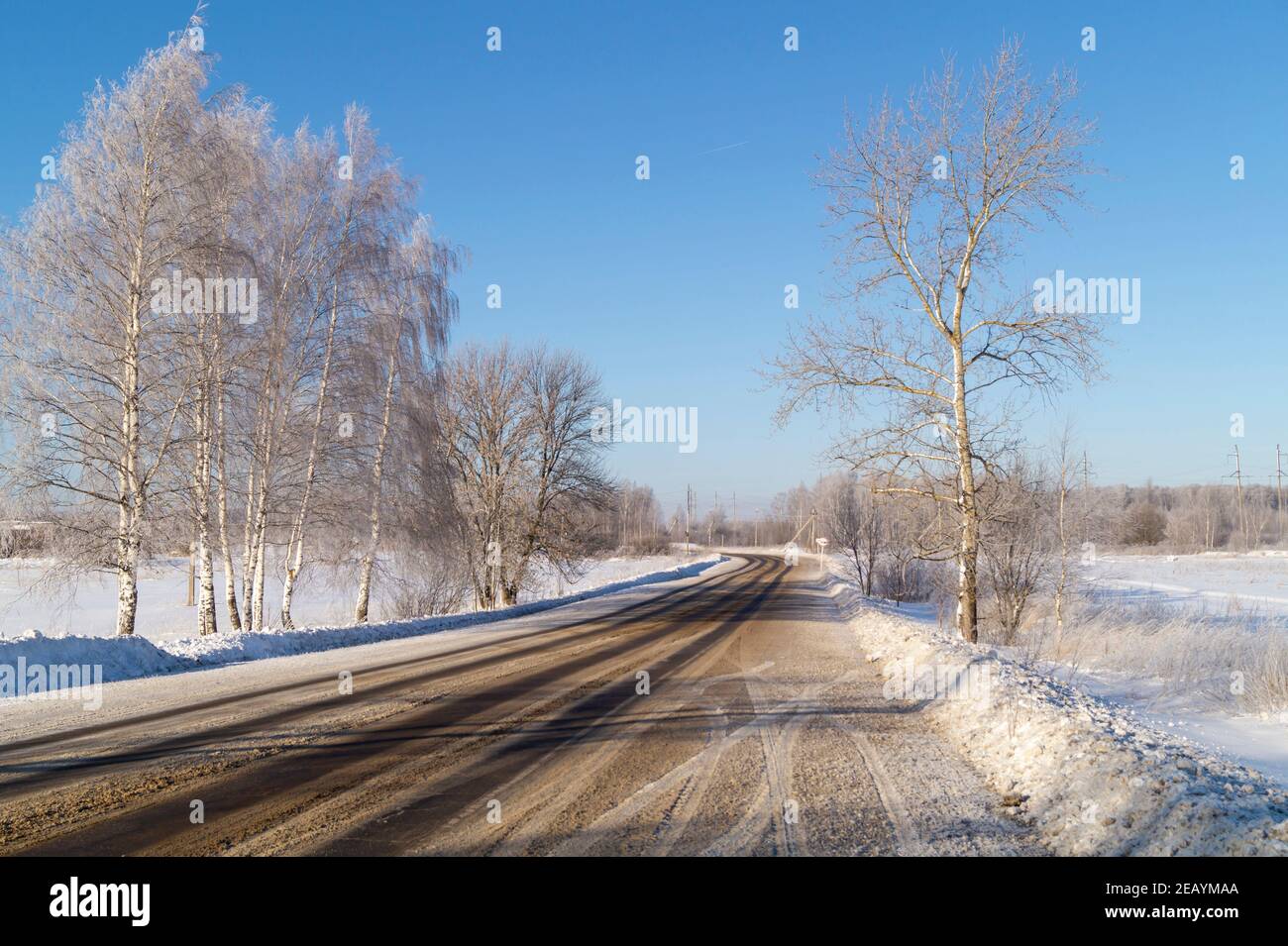 Die Winterstraße zwischen Birke auf dem Hintergrund blauen Himmel. Schöne Landschaft in Russland Stockfoto