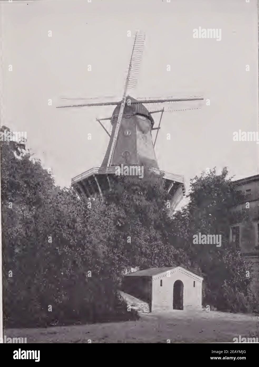 Altes Foto der Potsdamer Windmühle Stockfoto