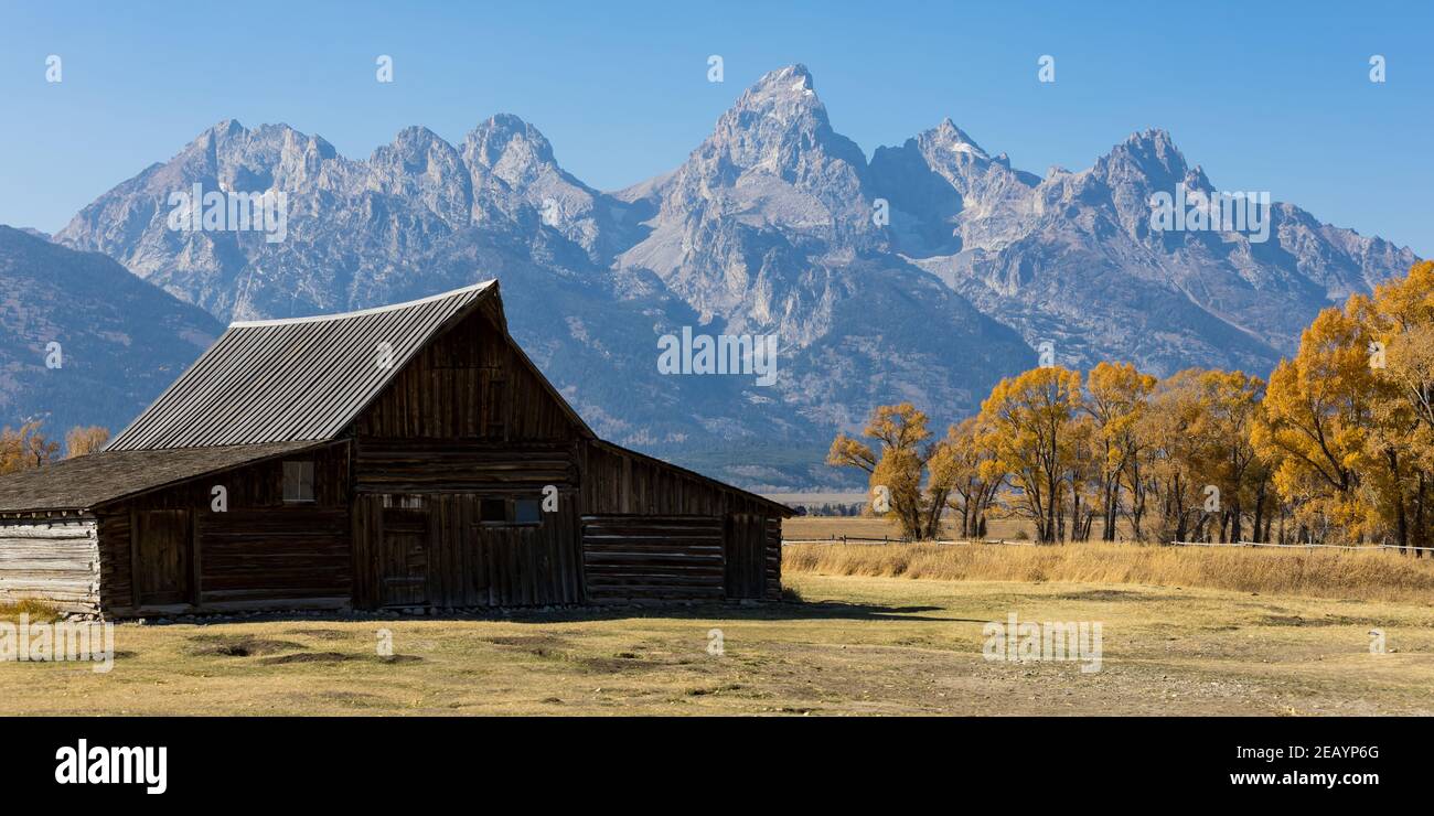 Moose, Wyoming USA - 10. Oktober 2020: Thomas A. Molton Barn in der Nähe von Mormon Row auf Antelope Flats Road in Moose, Wyoming. Die Grand Teton Mountains. Stockfoto