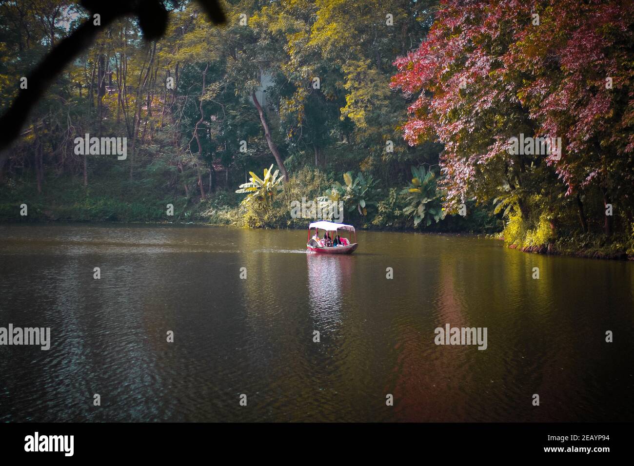 Das schöne Boot auf dem Fluss. Stockfoto