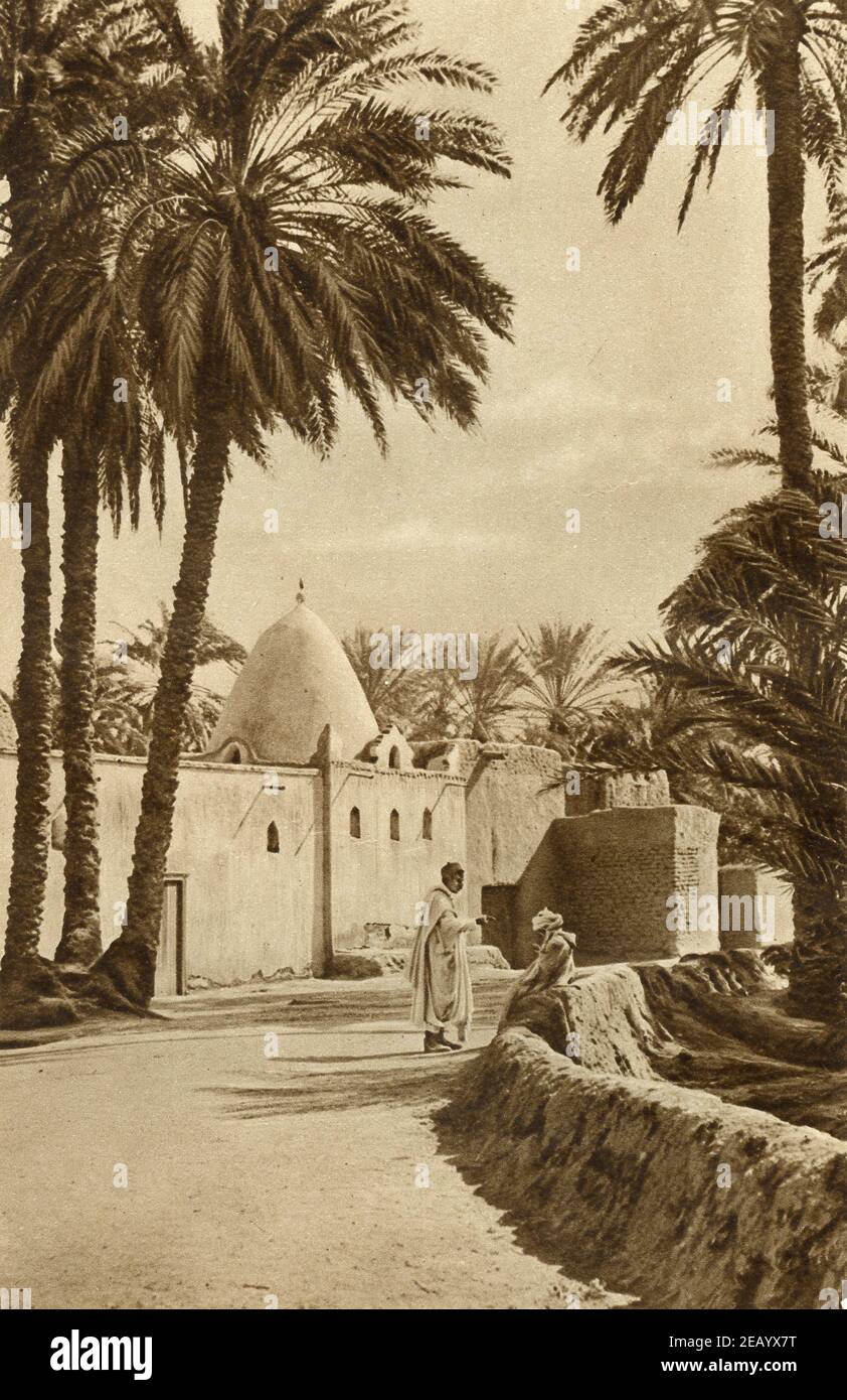 Ein Foto aus dem frühen 20th. Jahrhundert von einer Dorfmoschee in Biskra Algerien um 1920 fotografiert von Donald McLeish Stockfoto