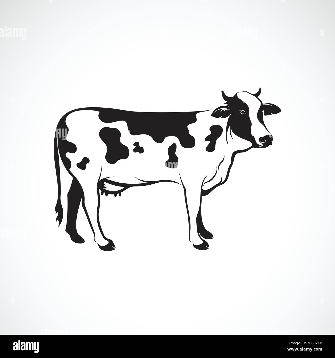 Vektor der Kuh auf weißem Hintergrund, Bauernhof Tier, Vektor-Illustration. Cow-Logo oder -Symbol. Leicht editierbare Vektorgrafik mit Ebenen. Stock Vektor