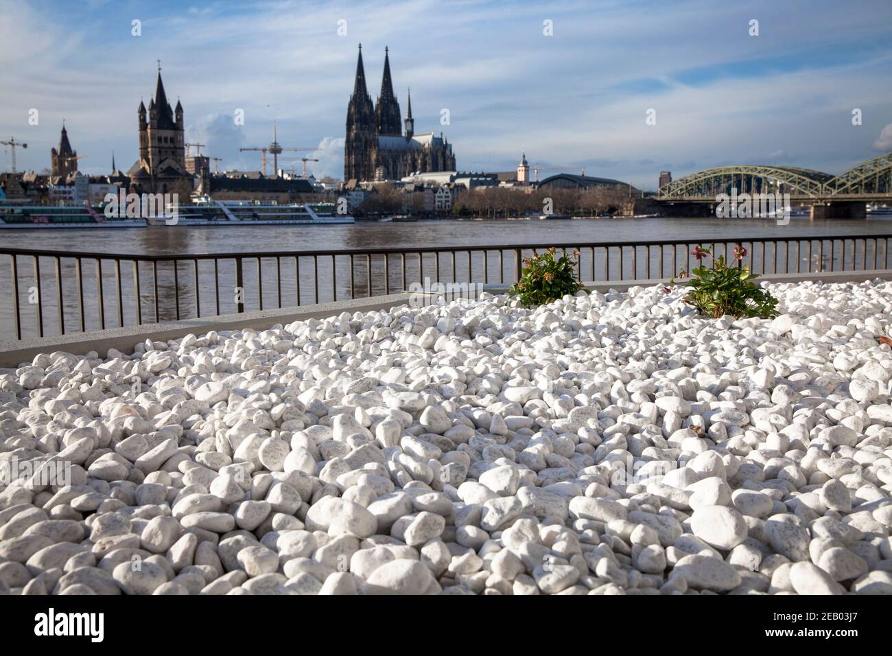 Blick über ein Kiesbett und den Rhein in die Altstadt mit der Kirche Gross St. Martin und dem Dom, Köln, Deutschland. Blick über ein Schotterbe Stockfoto