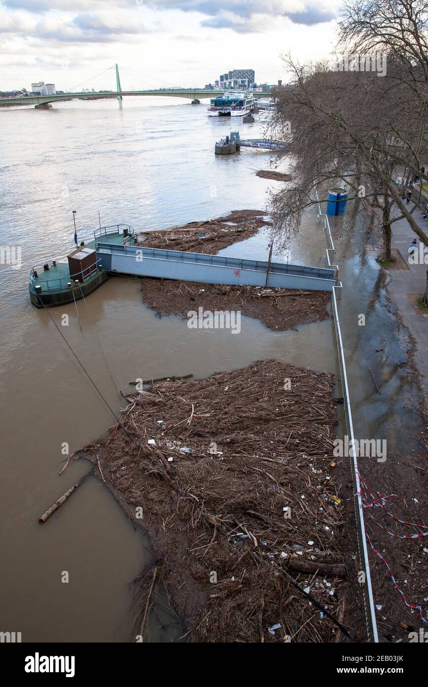 Rheinflut am 5th. Februar. 2021, Treibgut mit Abfall unter der Hohenzollernbrücke, Köln, Deutschland. Hochwasser des Rheins am 5. Februar 202 Stockfoto