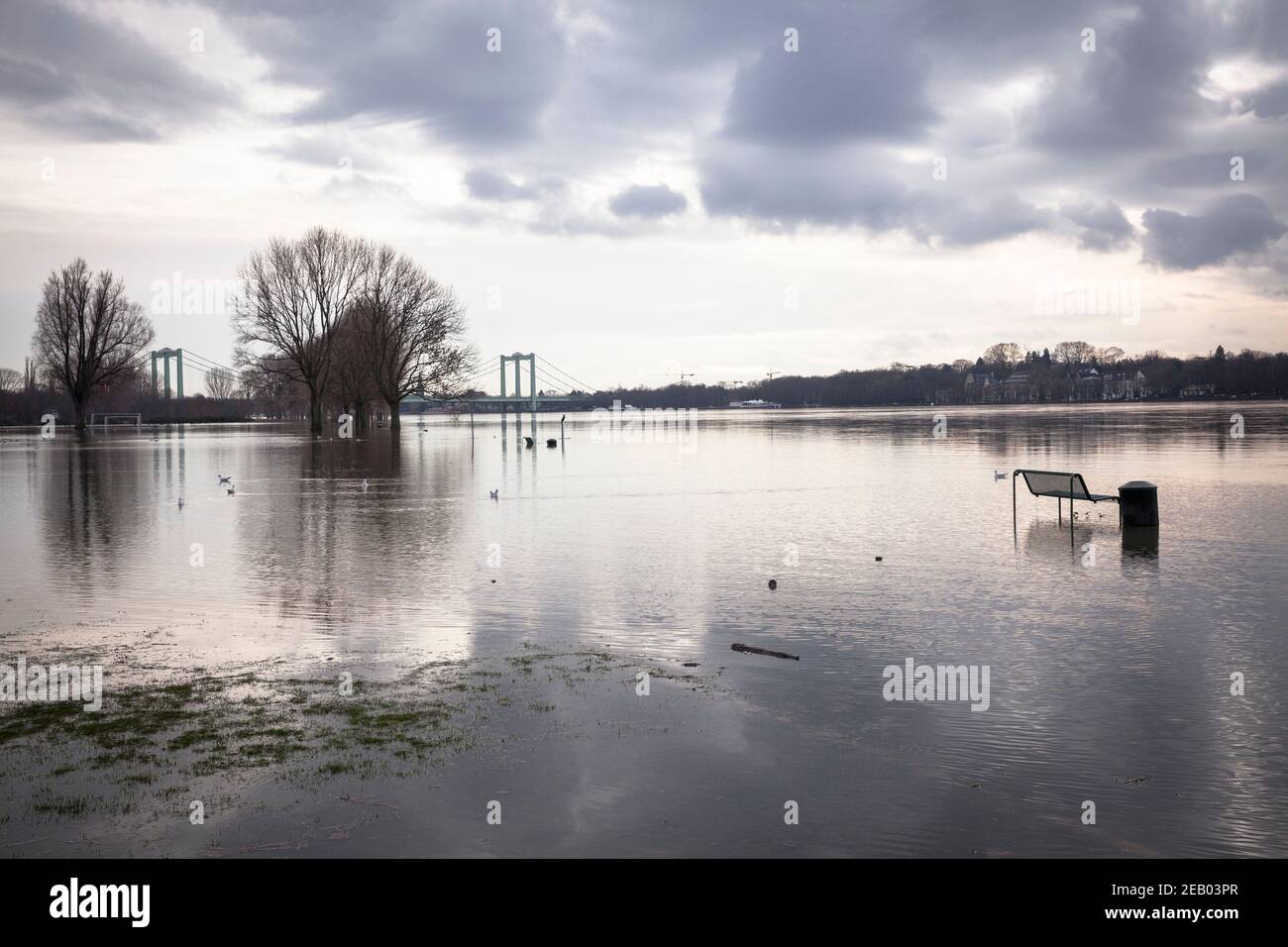 Rheinflut am 5th. Februar. 2021, überflutete Wiese im Bezirk Poll, Rodenkirchener Brücke, Köln, Deutschland. Hochwasser des Rhein am 5. Fe Stockfoto