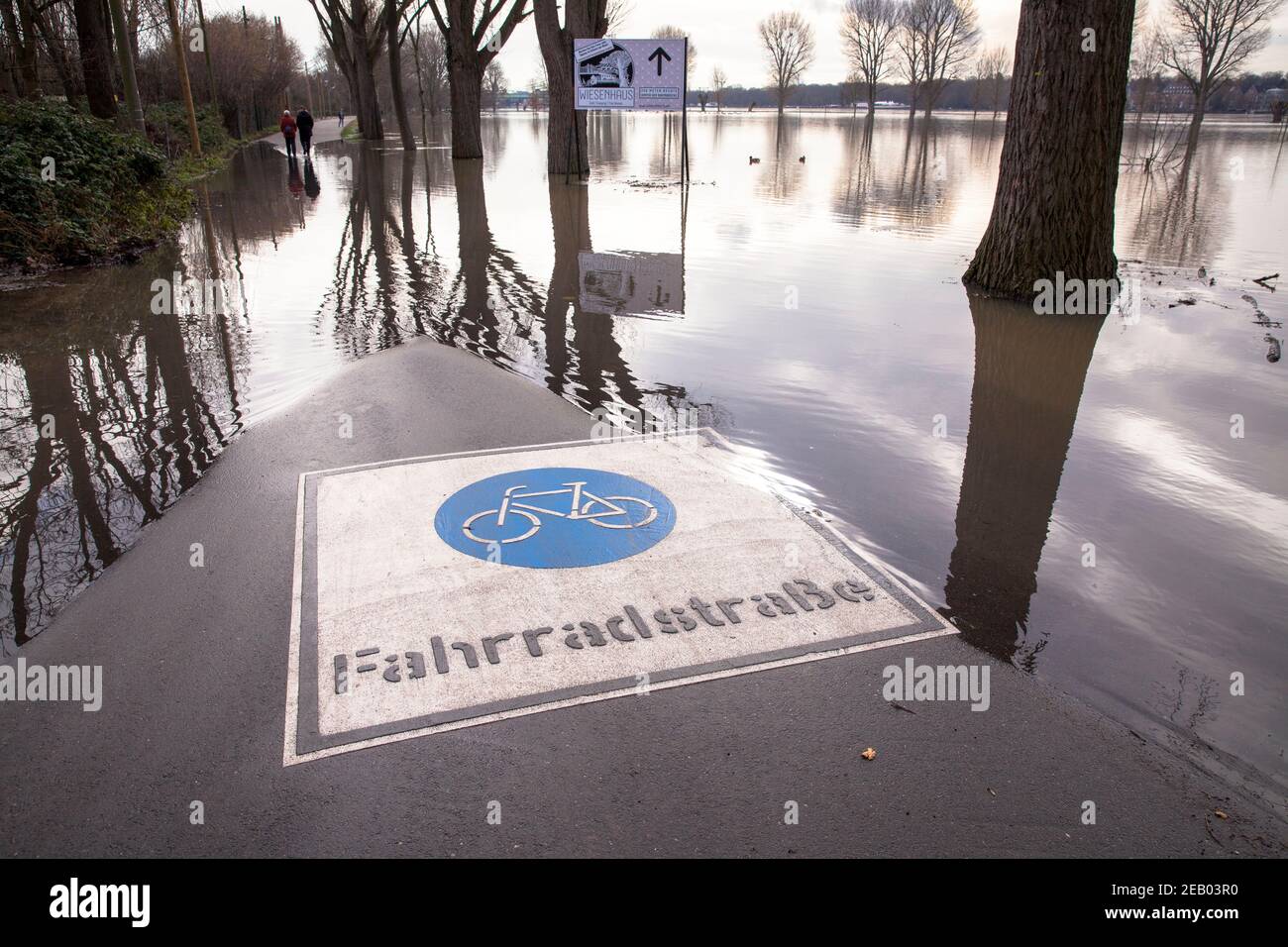 Rheinflut am 5th. Februar. 2021, überflutete Fahrradstraße am Rheinufer im Landkreis Poll, Köln, Deutschland. Hochwasser d Stockfoto