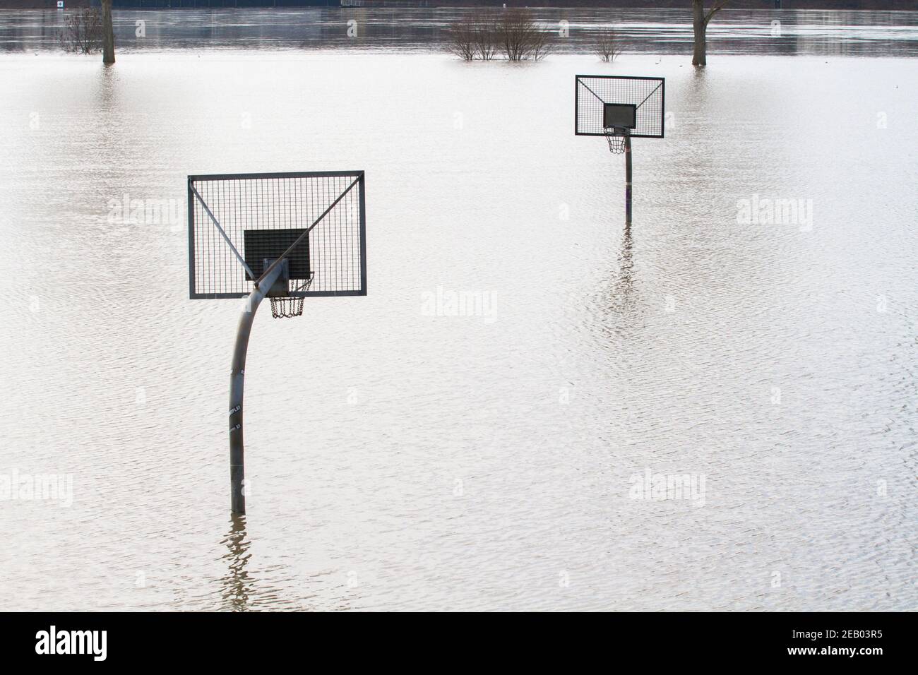 Rheinflut am 5th. Februar. 2021, überschwemmter Basketballplatz am Rheinufer im Kreis Poll, Köln, Deutschland. Hochwasser Stockfoto