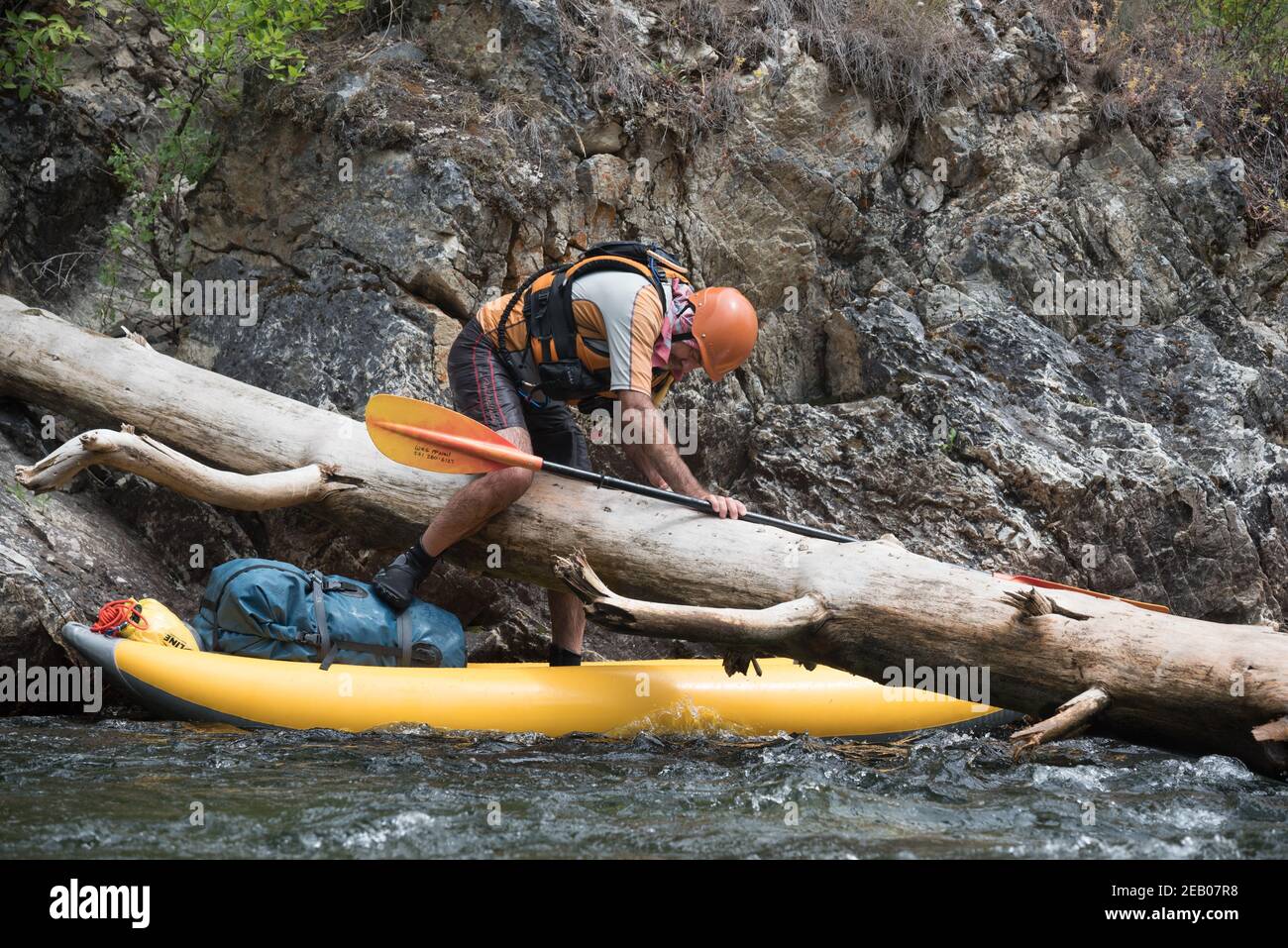 River Runner manövriert um einen Baumstamm, Big Creek, Idaho. Stockfoto