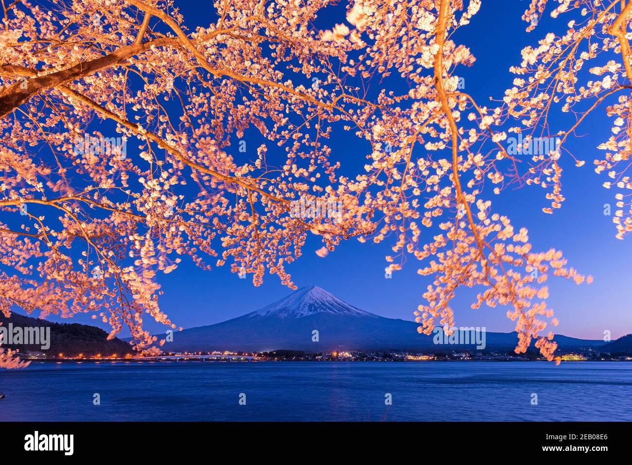 Kawaguchi-See, Japan am Mt. Fuji am Abend während des Frühlings. Stockfoto
