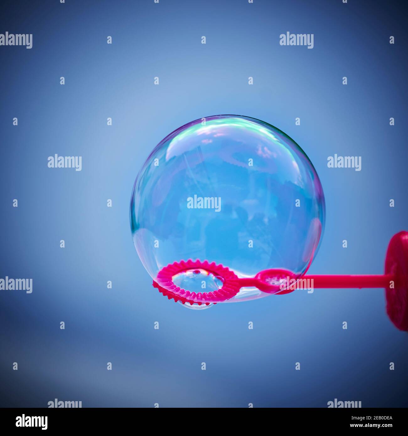 Blick auf eine Seifenblase mit Reflexionen in abgestuften blauen Farben. Stockfoto