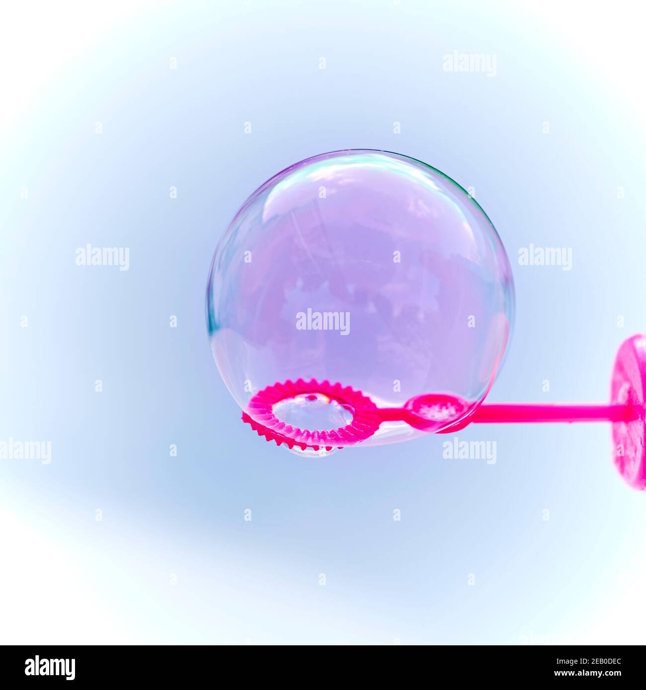 Blick auf eine Seifenblase mit Reflexionen in abgestuften rosa Farben. Stockfoto