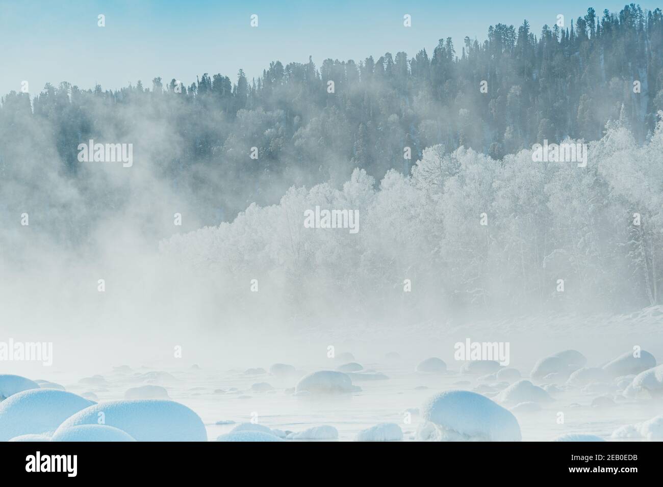 Winter Fluss mit frostigen Nebel über dem Wasser. Schneebäume am Ufer. Stockfoto