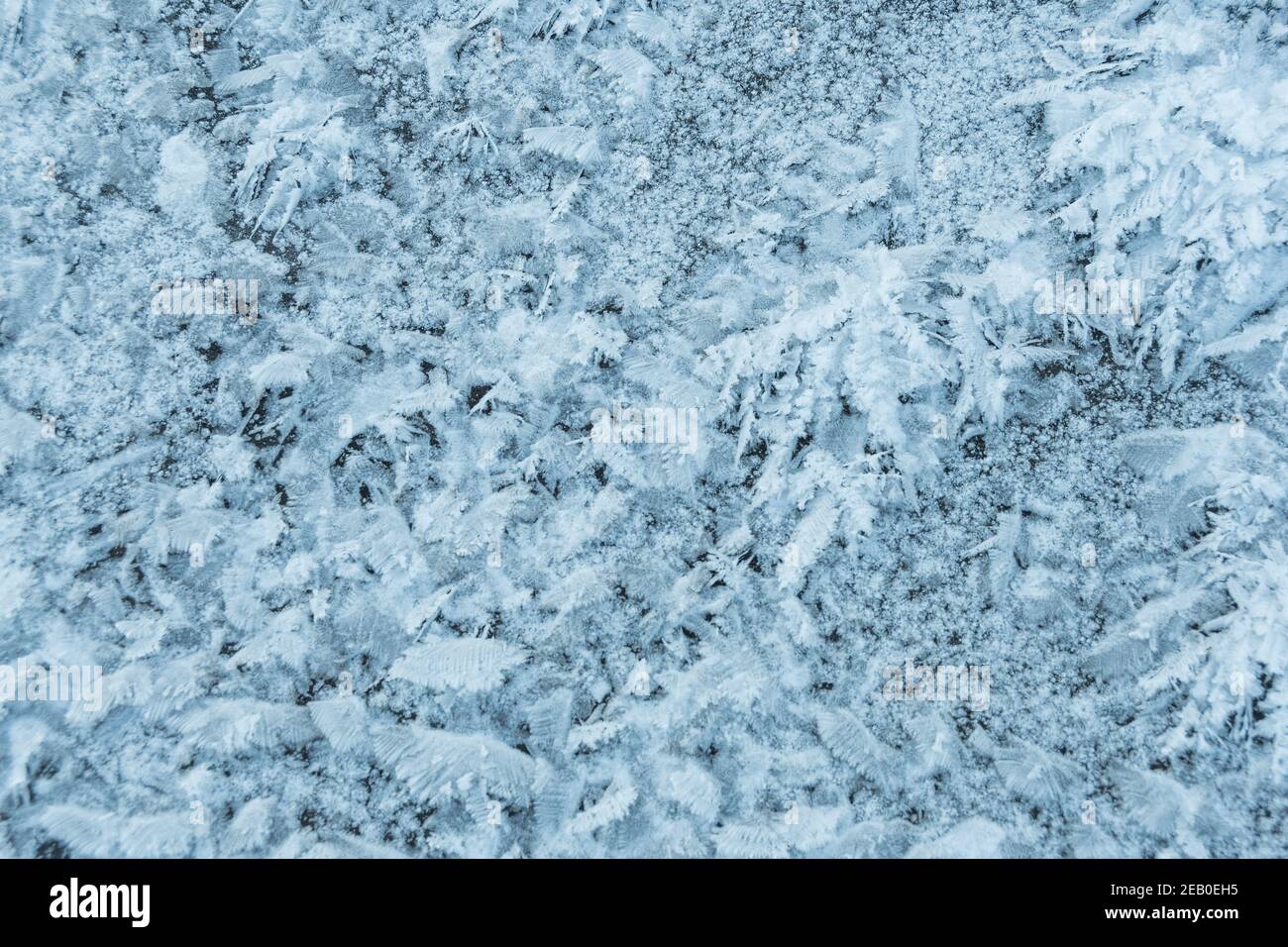 Frischer weißer Schnee und Frost Hintergrundstruktur Stockfoto