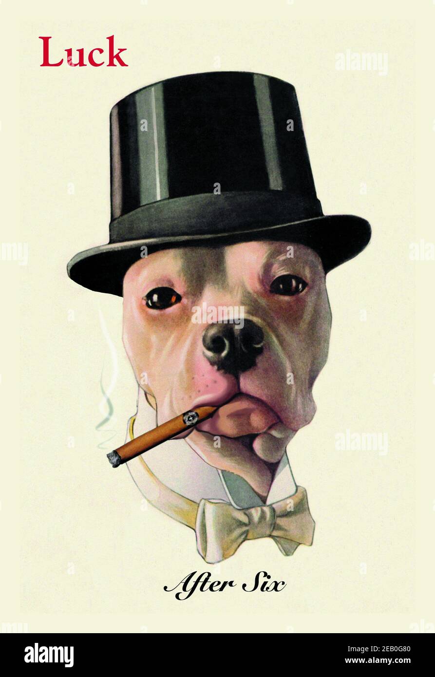 Hund im Zylinder raucht eine Zigarre Stockfotografie - Alamy