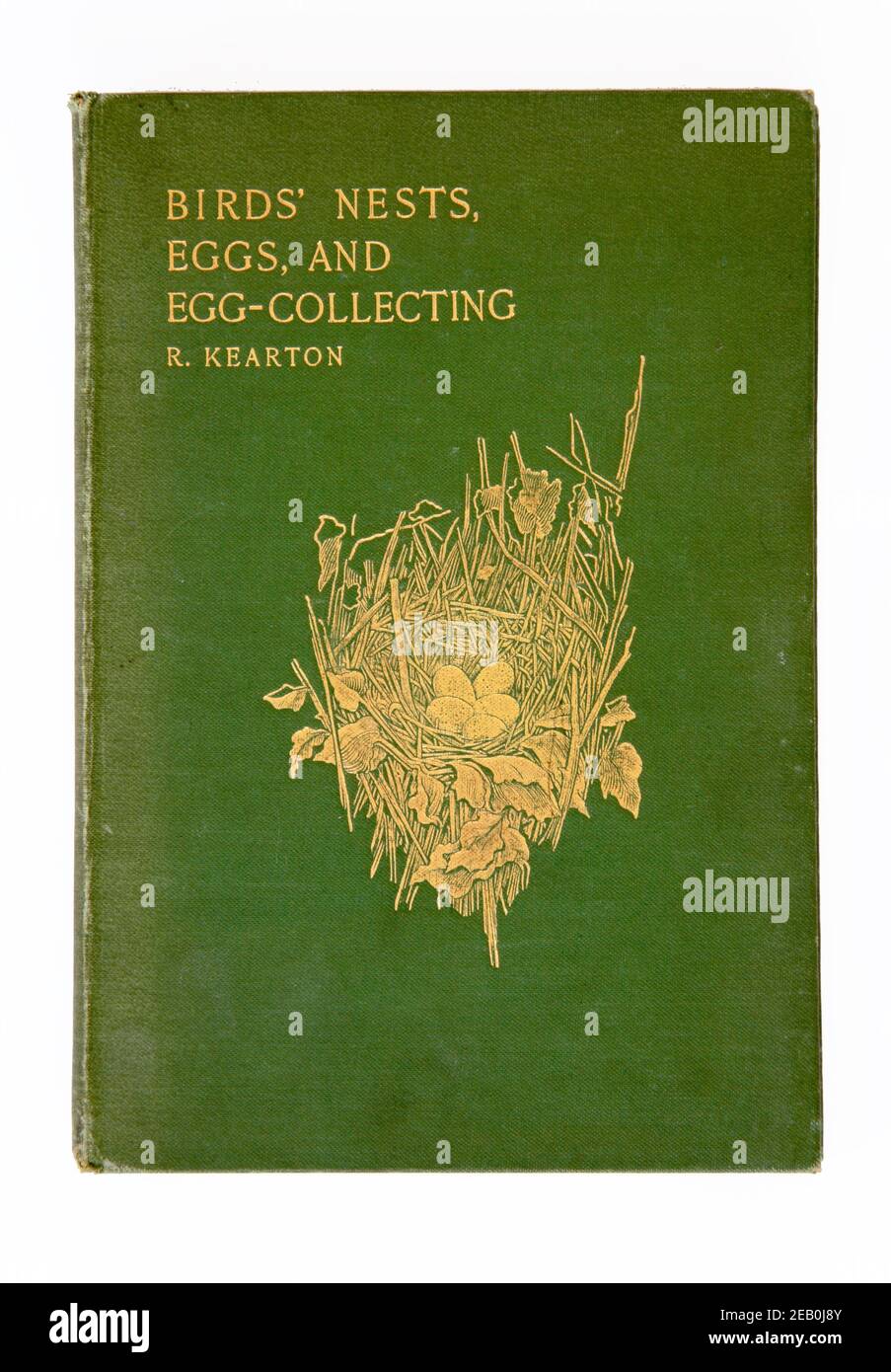 Das Titelbild eines spätviktorianischen Buches mit dem Titel Birds' Nester, Eggs, and Egg-Collecting von R Kearton. Stockfoto