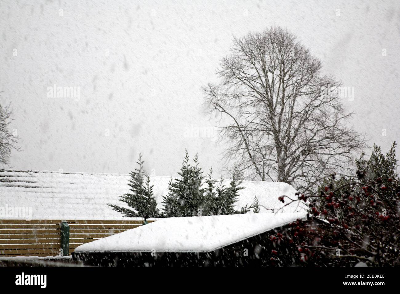 Ein Blick über die Dächer während einer Schneedusche im Winter in einem Wohngebiet von Hellesdon, Norfolk, England, Großbritannien. Stockfoto