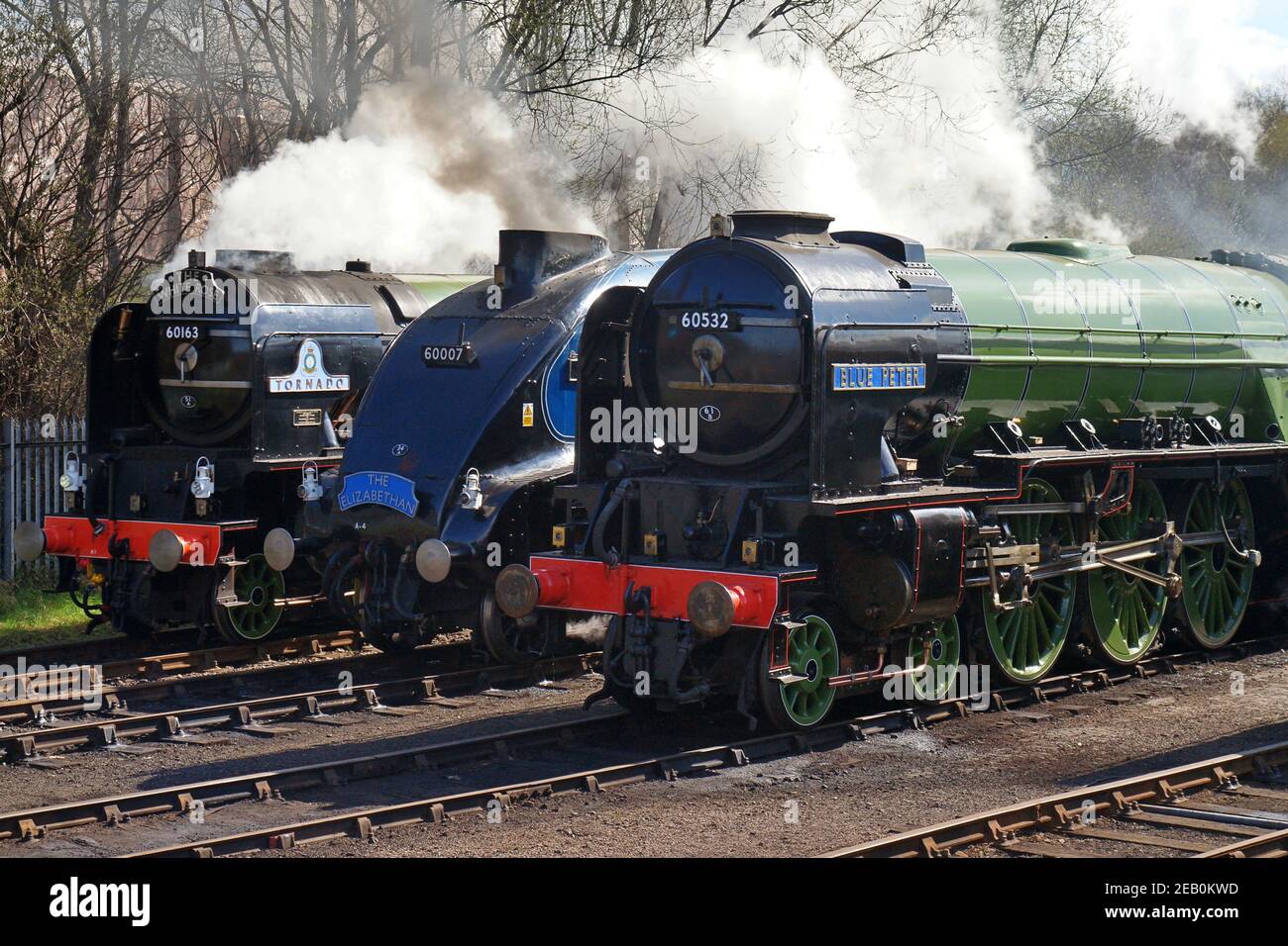 Drei LNER Express Pacific Dampflokomotiven Sir Nigel Gresley 60007, 60532 Blue Peter und neue Lokomotive Tornado 60163 und ein LNER Weekend 2009 Stockfoto