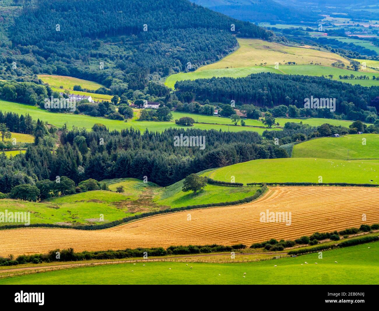 Landschaft mit Feldern und Bäumen scheinen von Roseberry Topping in der Nähe Great Ayton im North Yorkshire Moors National Park England VEREINIGTES KÖNIGREICH Stockfoto